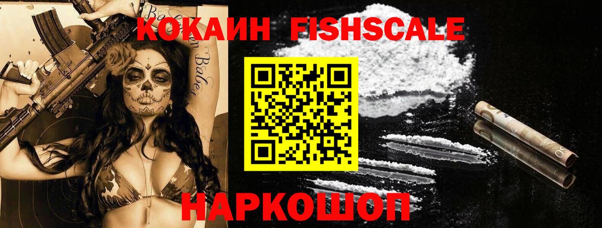 ГАШ Партизанск