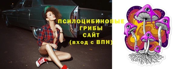 сатива Михайловка