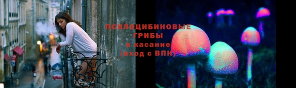 сатива Михайловка
