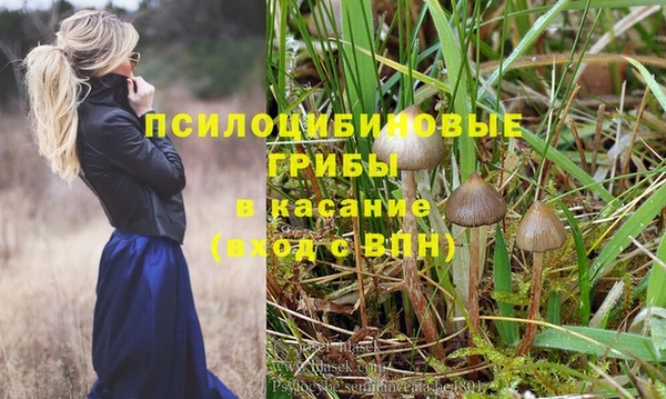сатива Михайловка