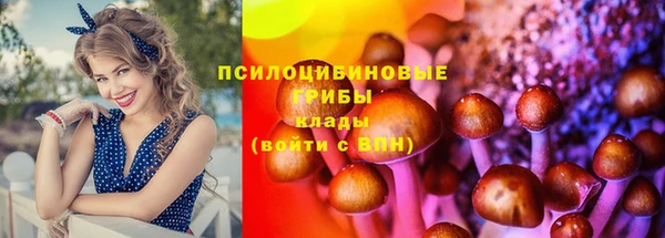 jwh Волосово