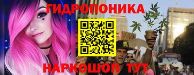 спиды Гусев