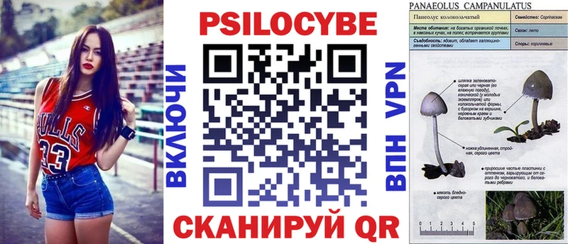 магазин  наркотиков  Партизанск  Псилоцибиновые грибы Psilocybine cubensis 