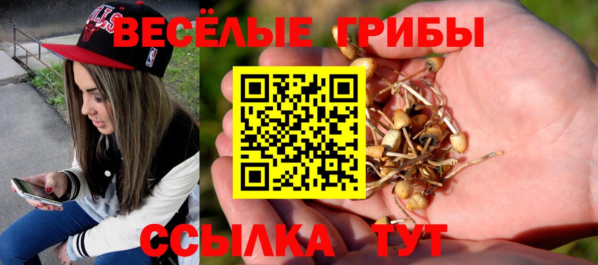 Галлюциногенные грибы мицелий  Вход с VPN  Партизанск 